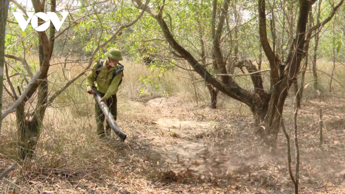 lap chot tren cac loi di, ngan nguoi dan dua moi lua vao rung tai quang tri hinh anh 4