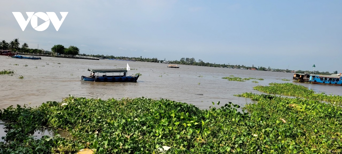 vu 2 nguoi tu vong do duoi nuoc o Dong thap, thuyen du lich het dang ky, dang kiem hinh anh 1