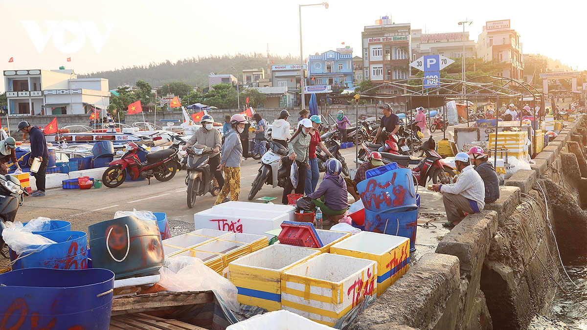 ve dep dung di day suc song duoi anh binh minh o cang ly son hinh anh 18