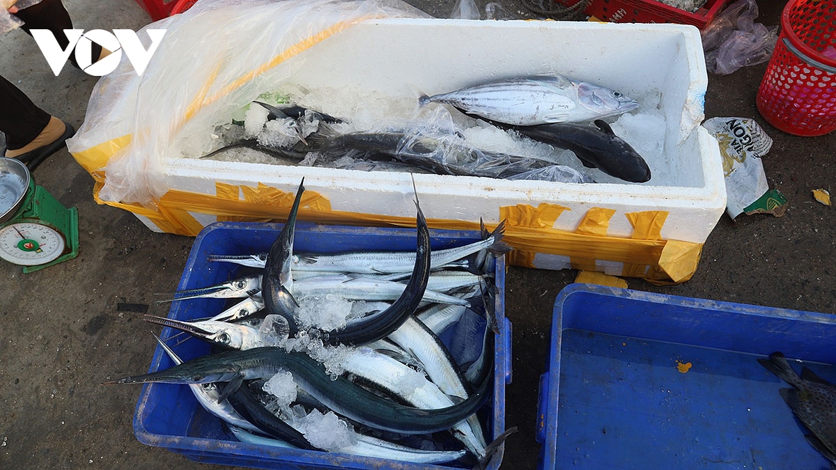 ve dep dung di day suc song duoi anh binh minh o cang ly son hinh anh 15