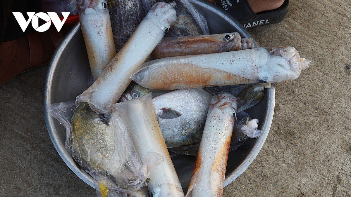 ve dep dung di day suc song duoi anh binh minh o cang ly son hinh anh 16