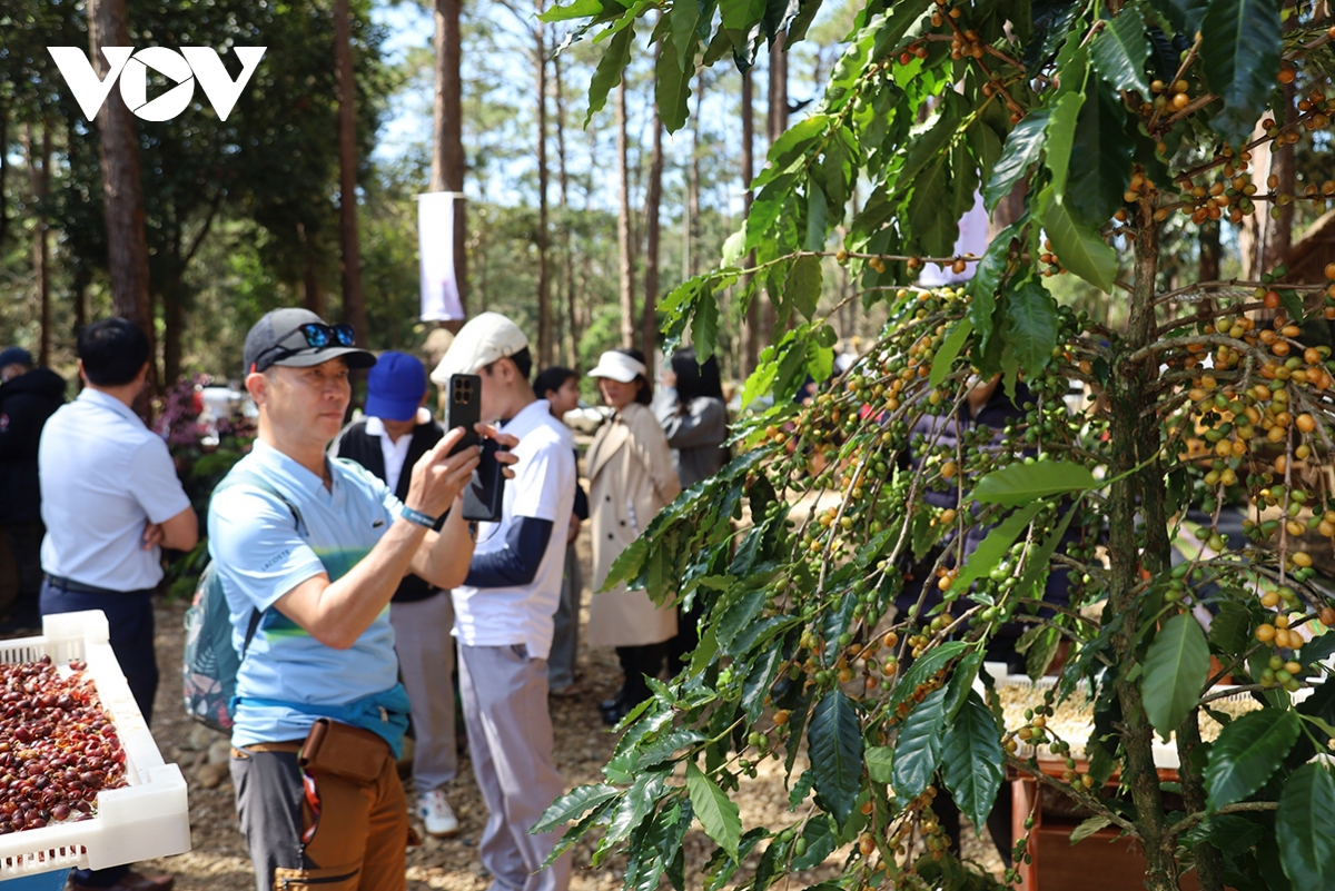 mang den emerges as holiday hotspot during april 30 may 1 break picture 2