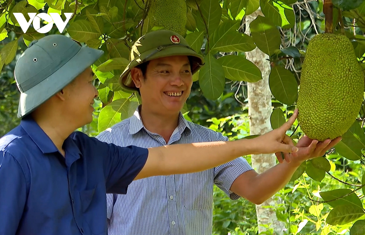 go nut that dau ra cho nong san vung cao lai chau hinh anh 2