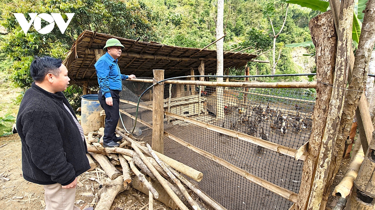 Dua nghi quyet cua Dang vao cuoc song o mien nui nghe an hinh anh 6