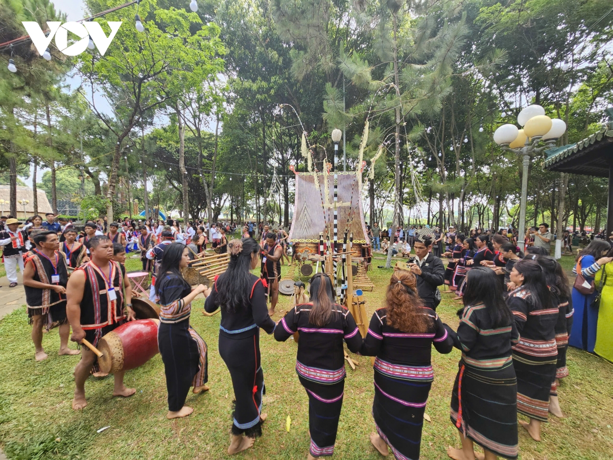 ron rang thanh am, sac mau trong ngay hoi van hoa cac dan toc tinh gia lai hinh anh 1