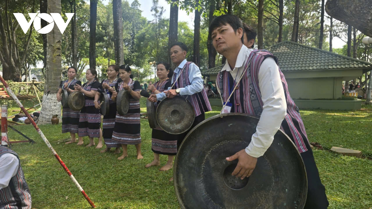 ron rang thanh am, sac mau trong ngay hoi van hoa cac dan toc tinh gia lai hinh anh 3