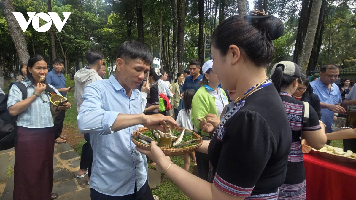 ron rang thanh am, sac mau trong ngay hoi van hoa cac dan toc tinh gia lai hinh anh 5