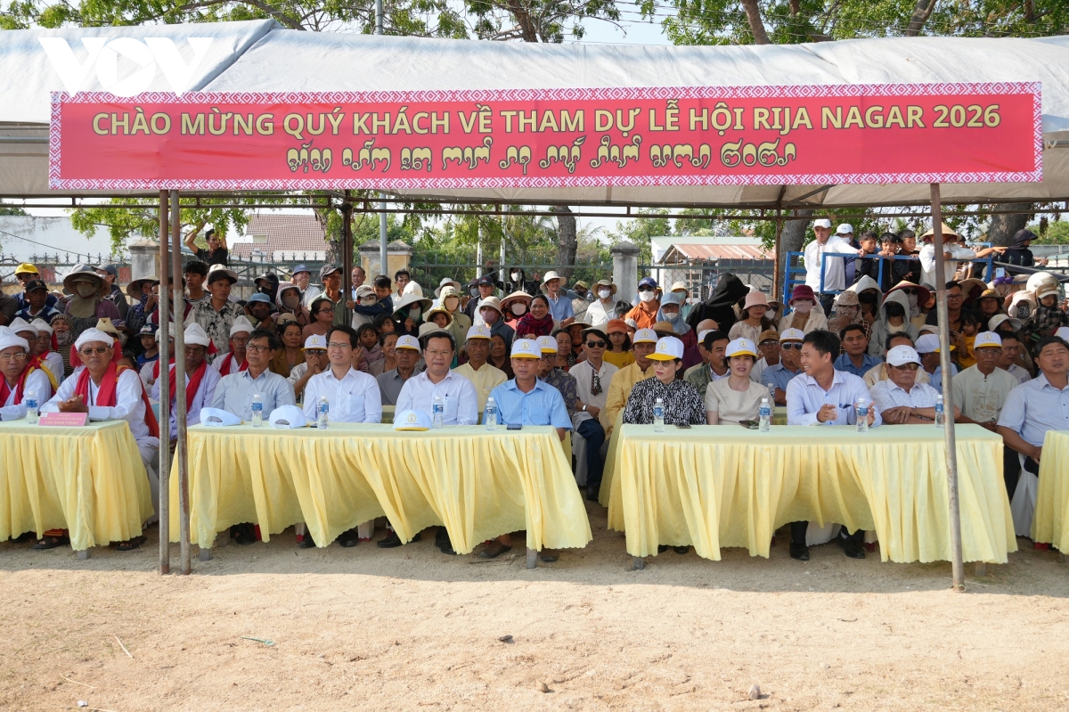 ron rang mua rija nagar tren lang cham phuoc huu, khanh hoa hinh anh 3