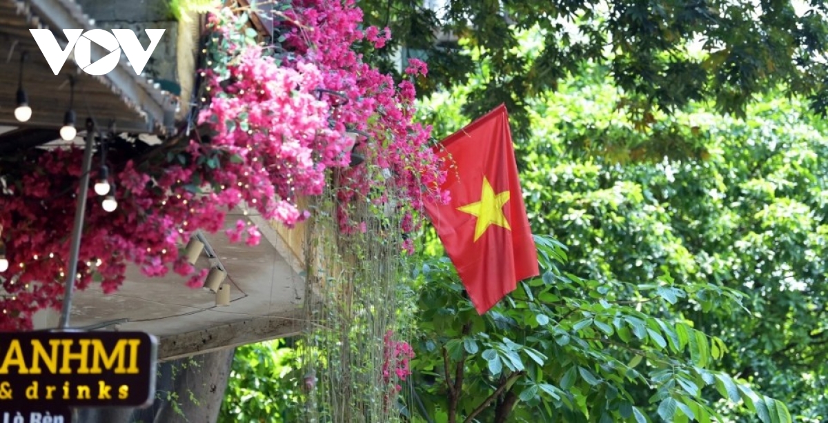 national flags a familiar sight on city streets picture 6
