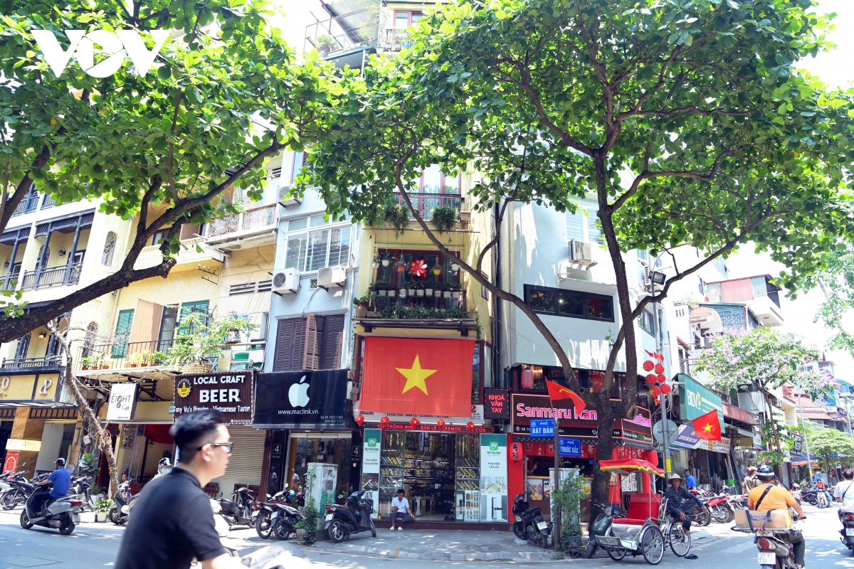 co do sao vang phu sac pho phuong net dep binh di lan toa trong doi song do thi hinh anh 4