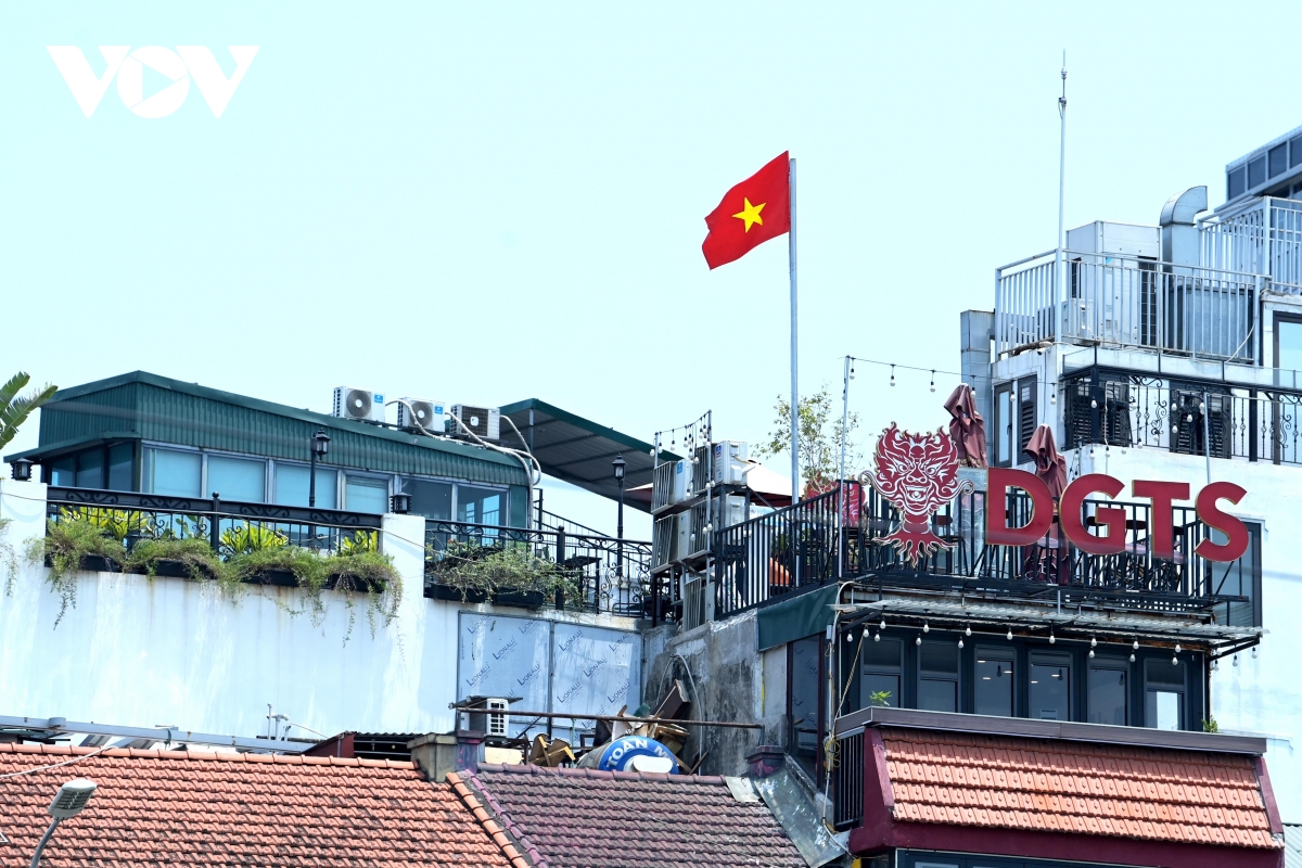 co do sao vang phu sac pho phuong net dep binh di lan toa trong doi song do thi hinh anh 3