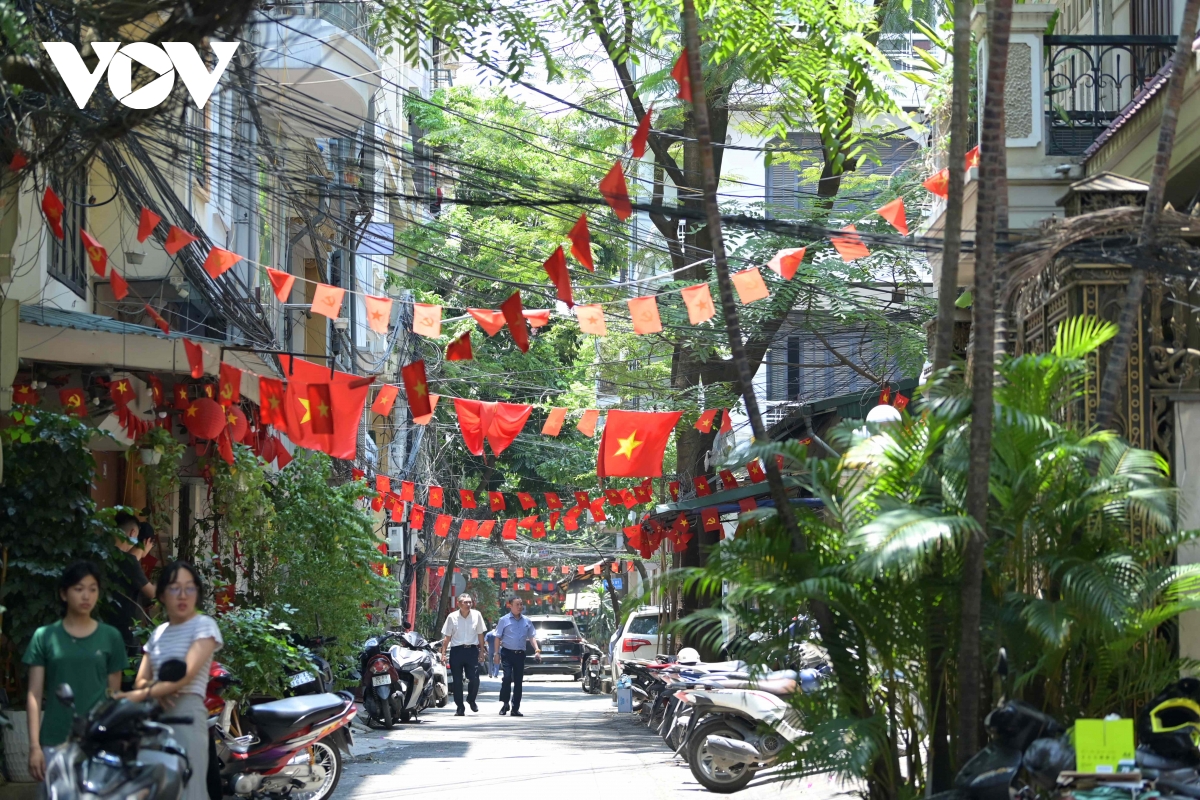 co do sao vang phu sac pho phuong net dep binh di lan toa trong doi song do thi hinh anh 2