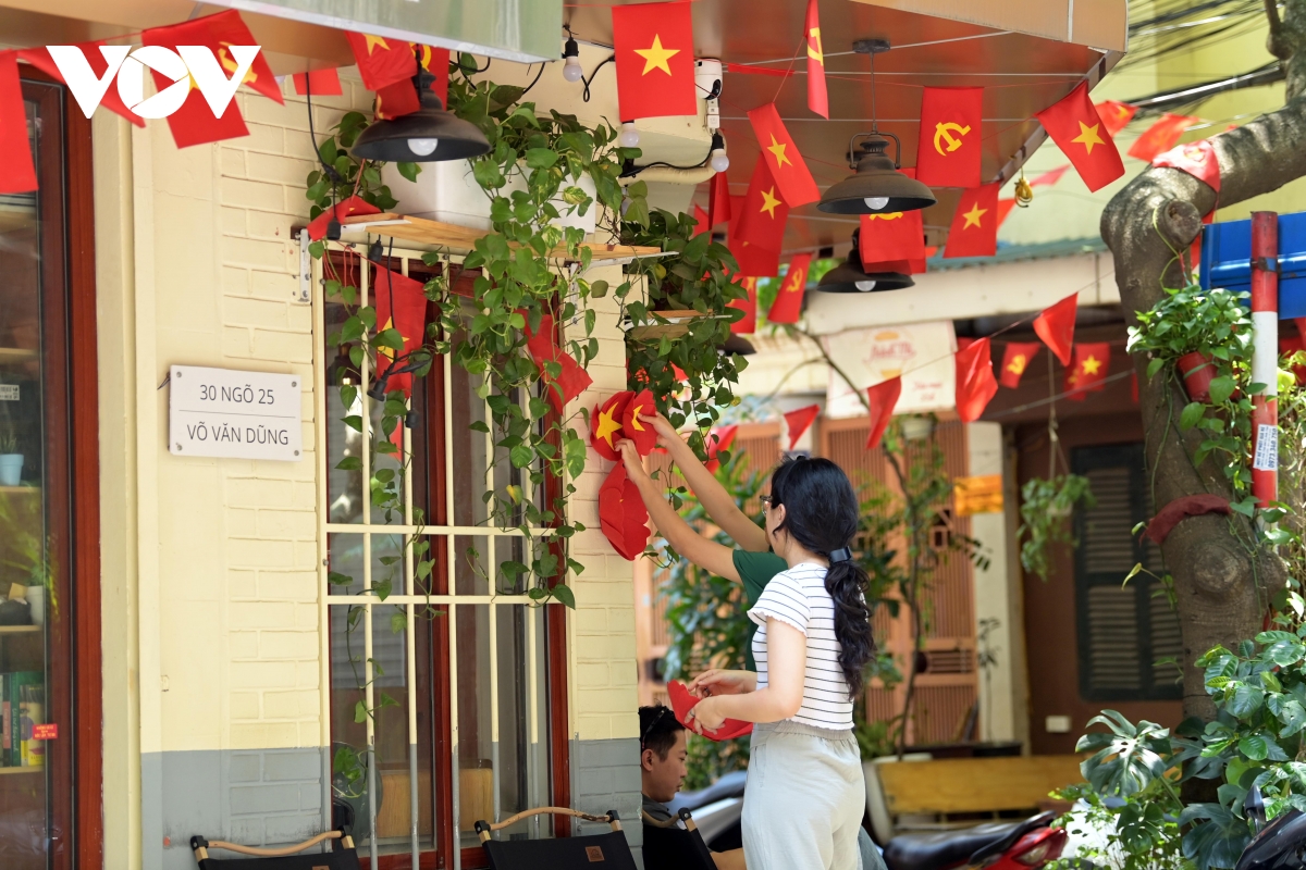 co do sao vang phu sac pho phuong net dep binh di lan toa trong doi song do thi hinh anh 5