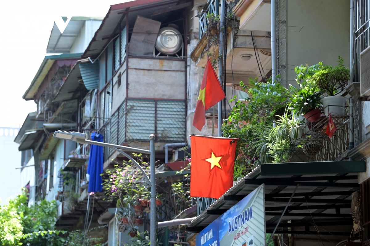 co do sao vang phu sac pho phuong net dep binh di lan toa trong doi song do thi hinh anh 7