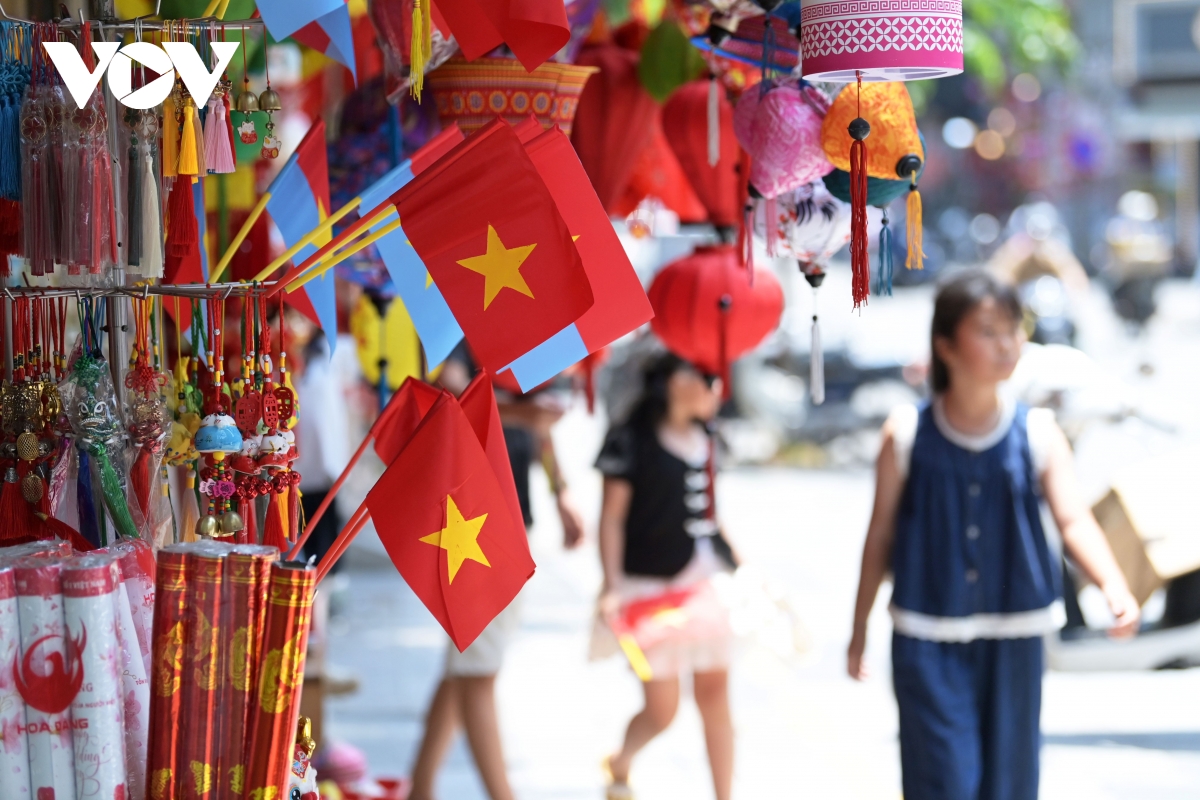 co do sao vang phu sac pho phuong net dep binh di lan toa trong doi song do thi hinh anh 9