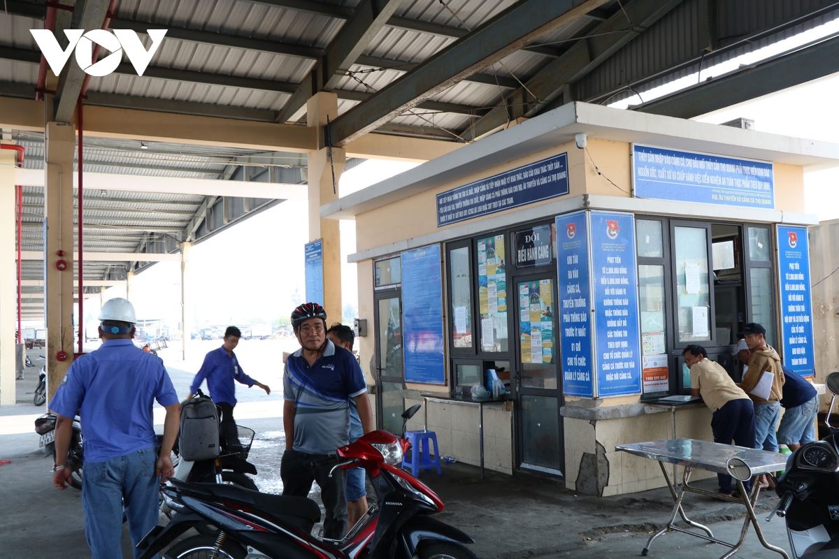 Da nang tai dinh hinh ha tang nghe ca trong khong gian phat trien moi hinh anh 2