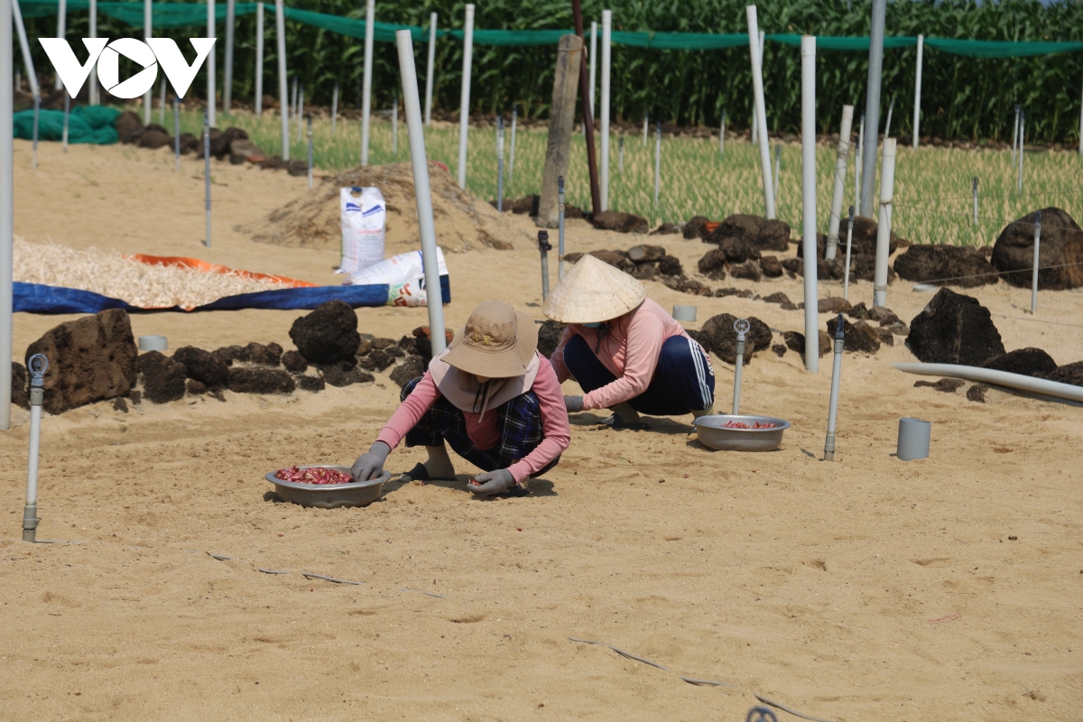 Dao ly son lo thieu nuoc sinh hoat va san xuat nong nghiep hinh anh 2