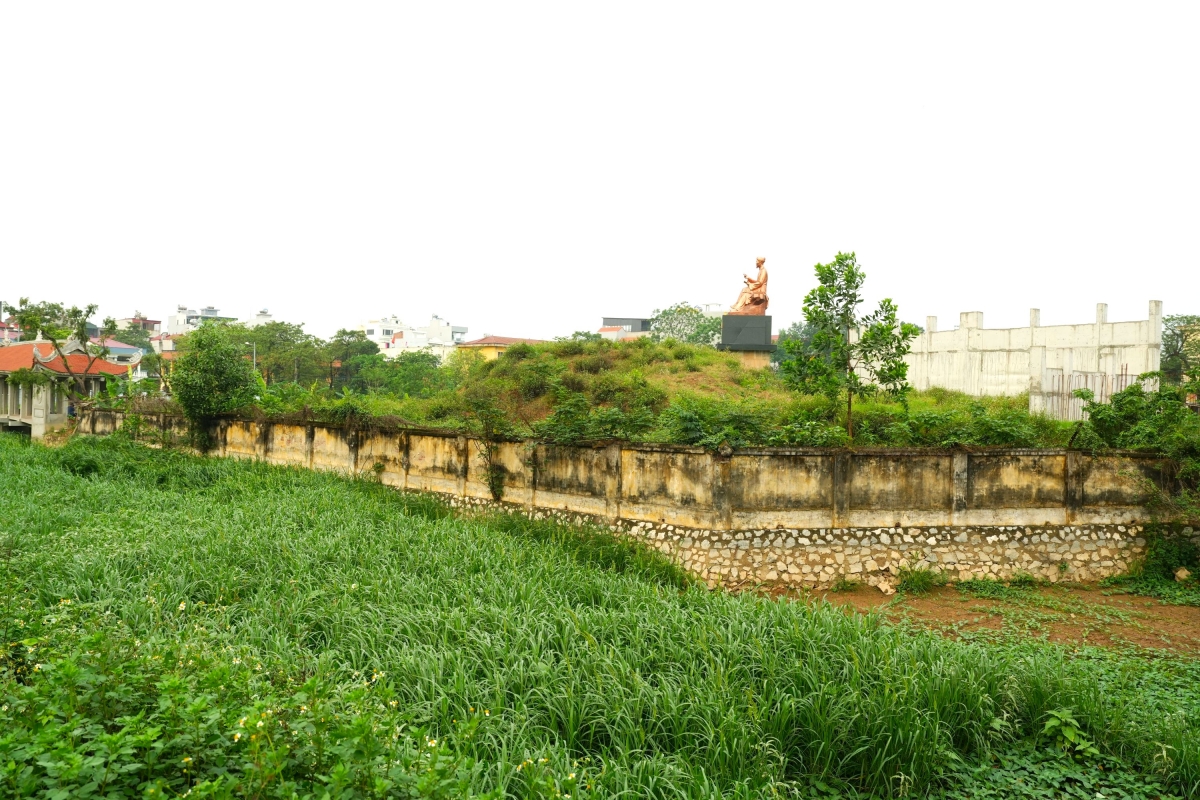 vuon hoa 8 nam bo hoang phan cam tuong Dai thi hao nguyen du giua mo phan, co dai hinh anh 14