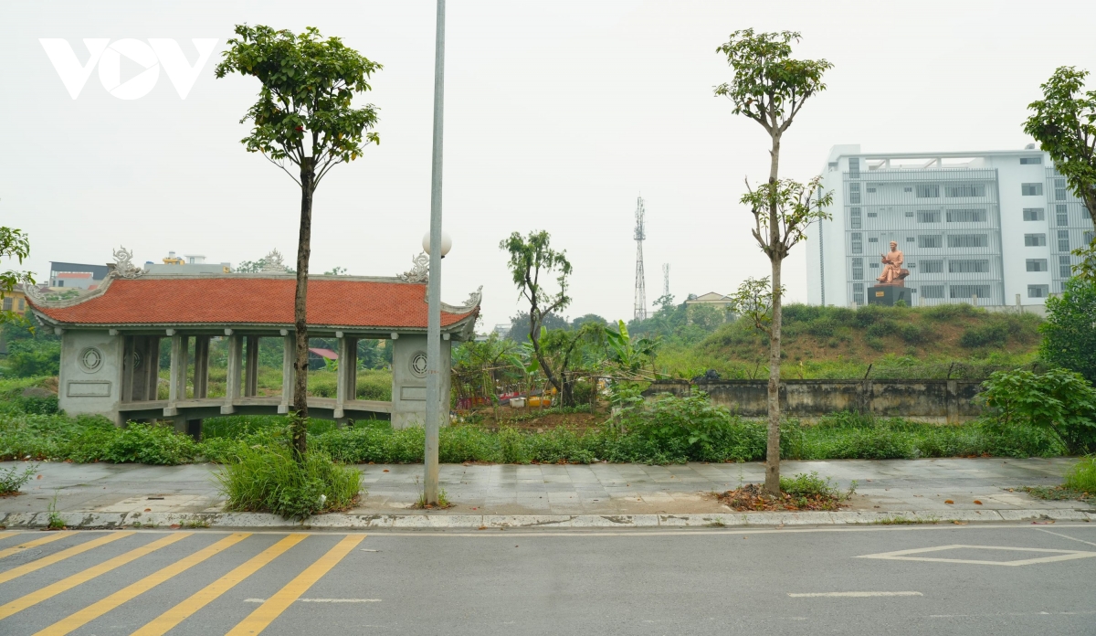 vuon hoa 8 nam bo hoang phan cam tuong Dai thi hao nguyen du giua mo phan, co dai hinh anh 15