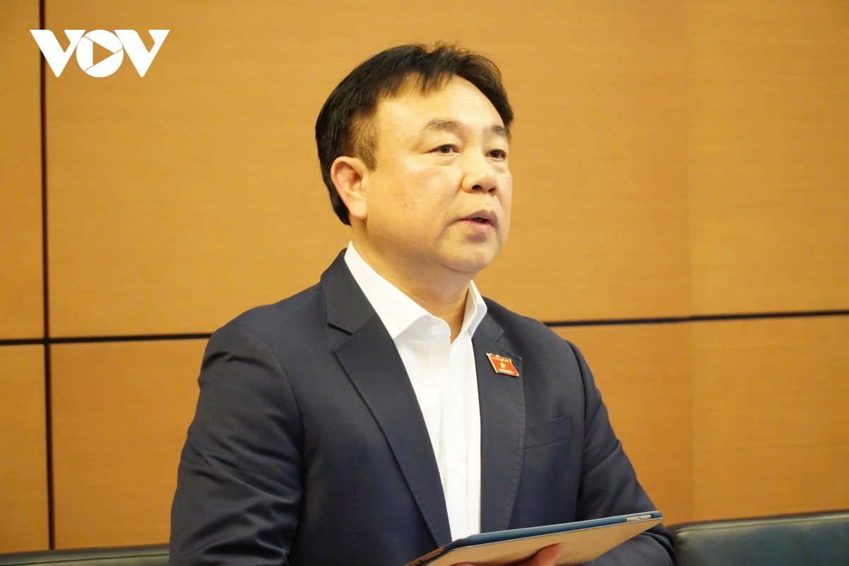 Dbqh tieu thuong mat an mat ngu vi no thue, de nghi sua luat kip thoi hinh anh 2