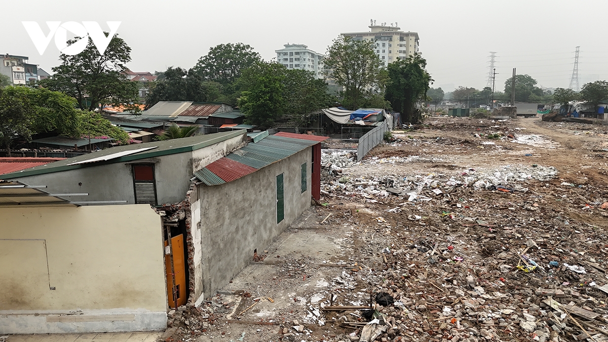 nha sieu mong, sieu meo xuat hien tren tuyen duong moi o hoang mai hinh anh 4