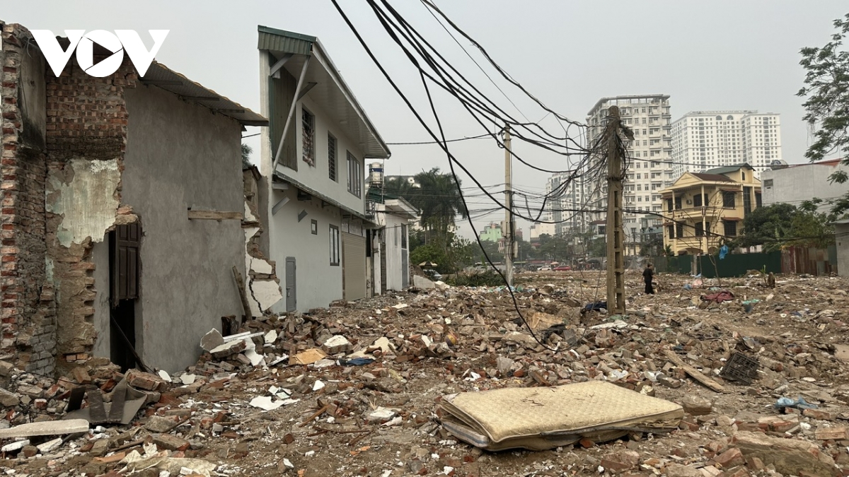 nha sieu mong, sieu meo xuat hien tren tuyen duong moi o hoang mai hinh anh 5