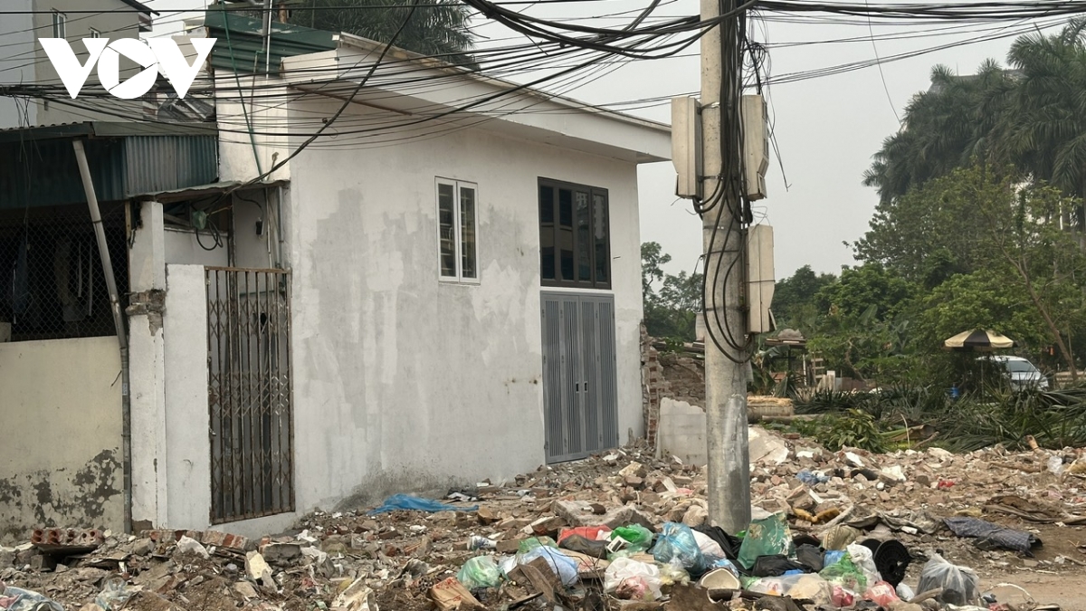 nha sieu mong, sieu meo xuat hien tren tuyen duong moi o hoang mai hinh anh 8