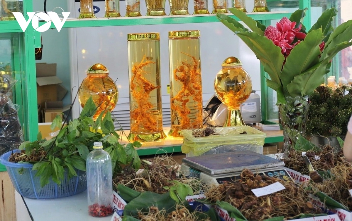 ket nghia dong bang - mien nui cach Da nang keo cac vung lai gan nhau hinh anh 5