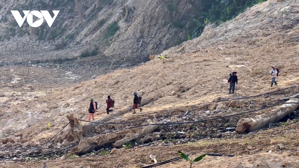 mien nui Da nang sau thien tai Duong tam, nha tam noi lo khong the tam hinh anh 4