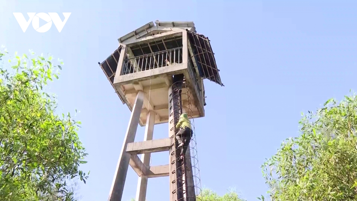 lap chot tren cac loi di, ngan nguoi dan dua moi lua vao rung tai quang tri hinh anh 5