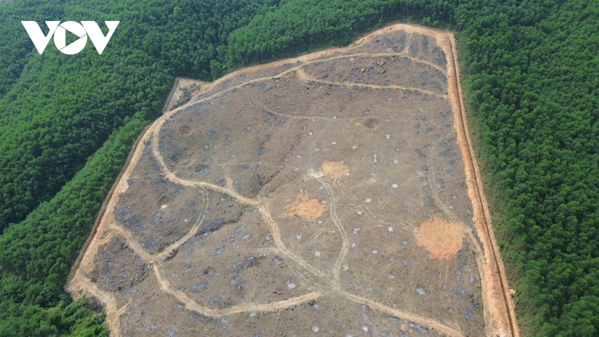 lap chot tren cac loi di, ngan nguoi dan dua moi lua vao rung tai quang tri hinh anh 2