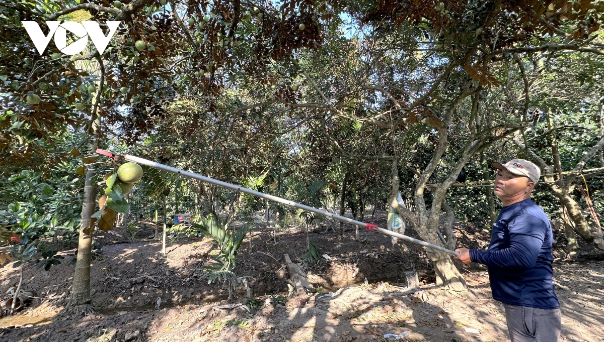 an ninh nguon nuoc o Dbscl can su dan dat cua chinh phu, dong thuan cua xa hoi hinh anh 5