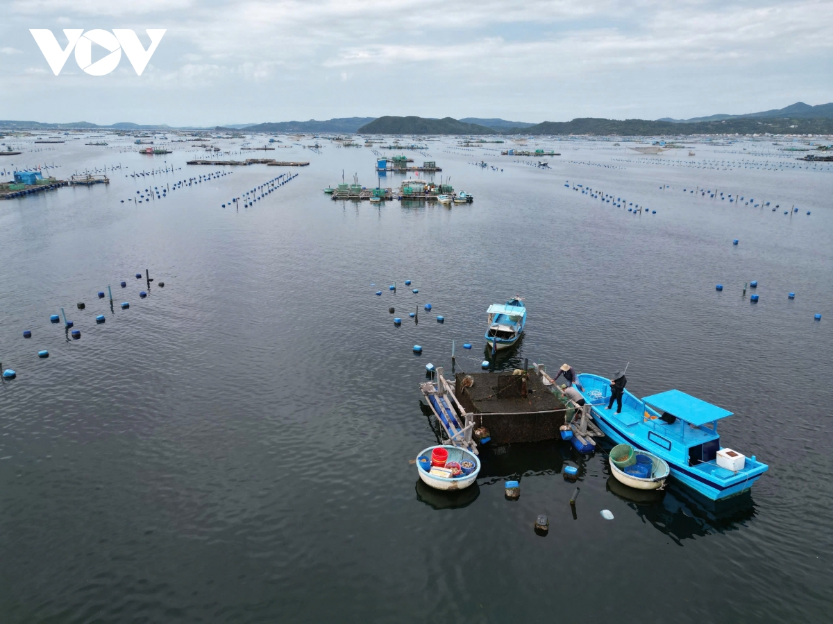 Dak lak dinh hinh tru cot kinh te bien tu go iuu den logistics, du lich hinh anh 2