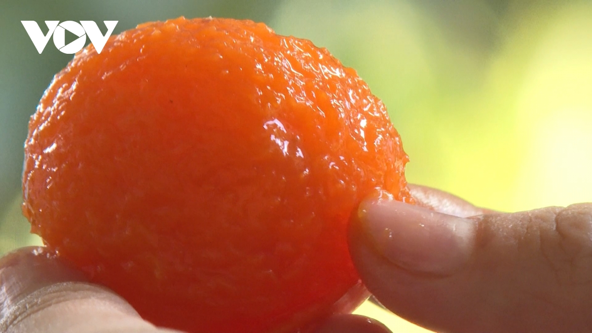 lao nong can tho thu lai kep tu vuon thanh tra hinh anh 4