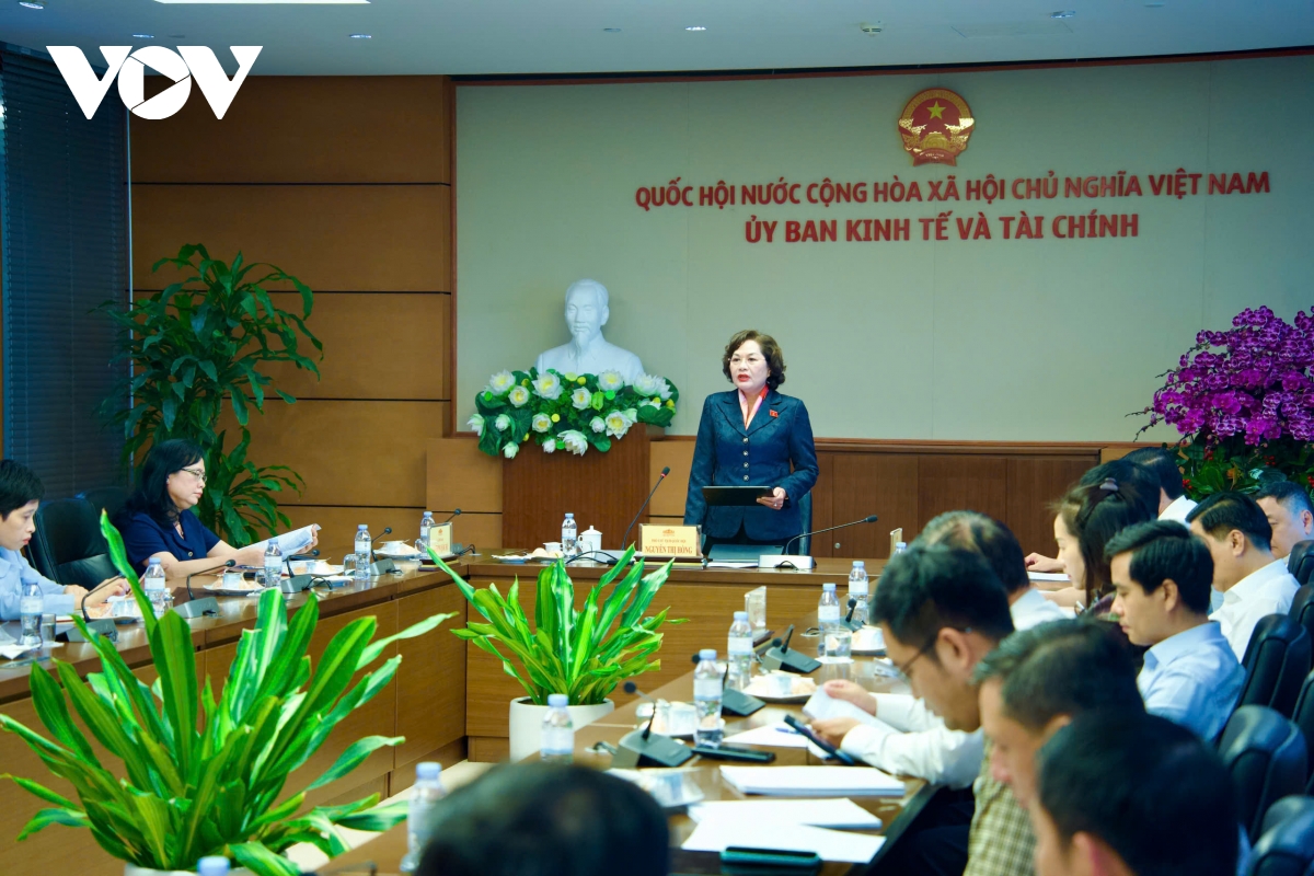 pho chu tich quoc hoi nguyen thi hong lam viec voi Uy ban kinh te va tai chinh hinh anh 2