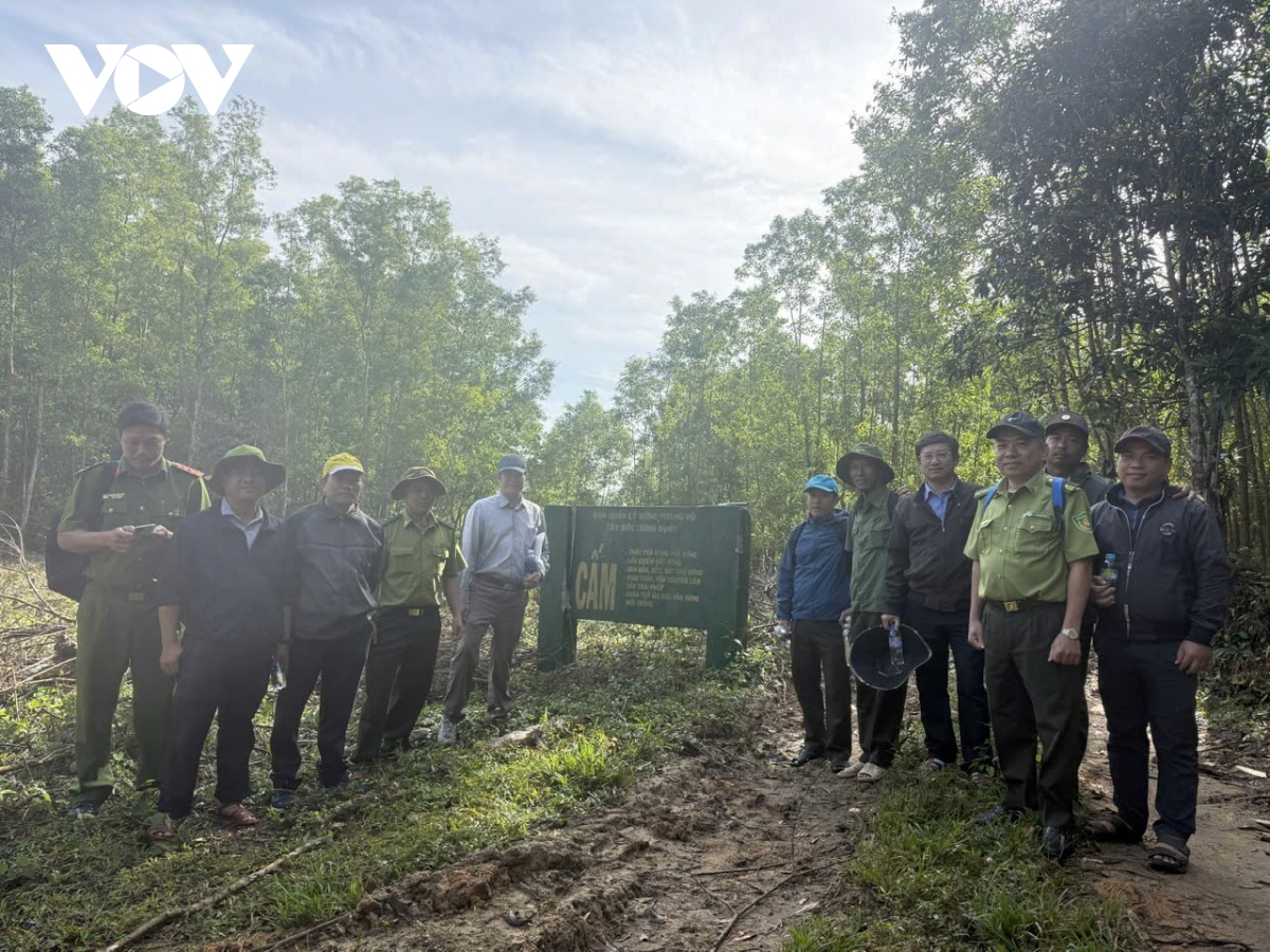 chu dong phong chong chay rung cho gan 1 trieu ha tai gia lai hinh anh 3