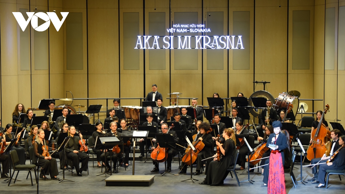 tong bi thu, chu tich nuoc to lam va thu tuong slovakia thuong thuc hoa nhac tai ha noi hinh anh 4