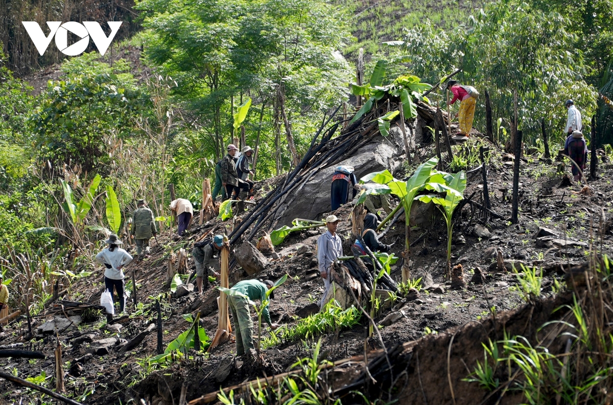 ket nghia dong bang - mien nui cach Da nang keo cac vung lai gan nhau hinh anh 8