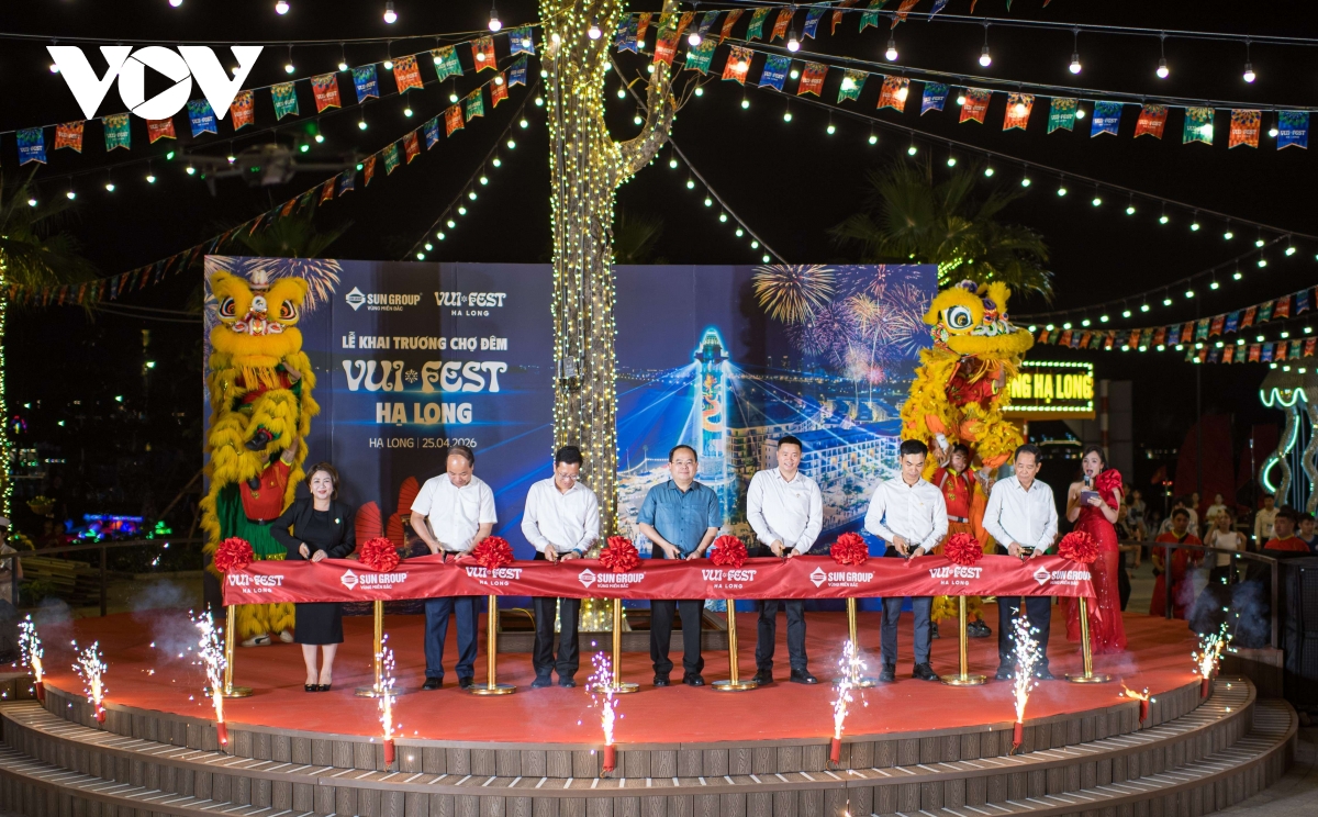 quang ninh to chuc ban phao hoa hang dem hut khach du lich hinh anh 2