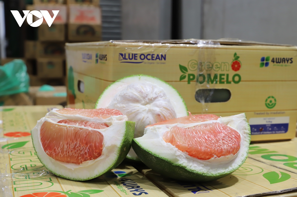 qua buoi viet nam lan dau tien duoc ban tai australia hinh anh 1