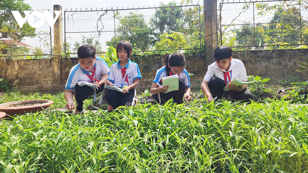 can tho lan toa van hoa doc o vung nong thon hinh anh 2