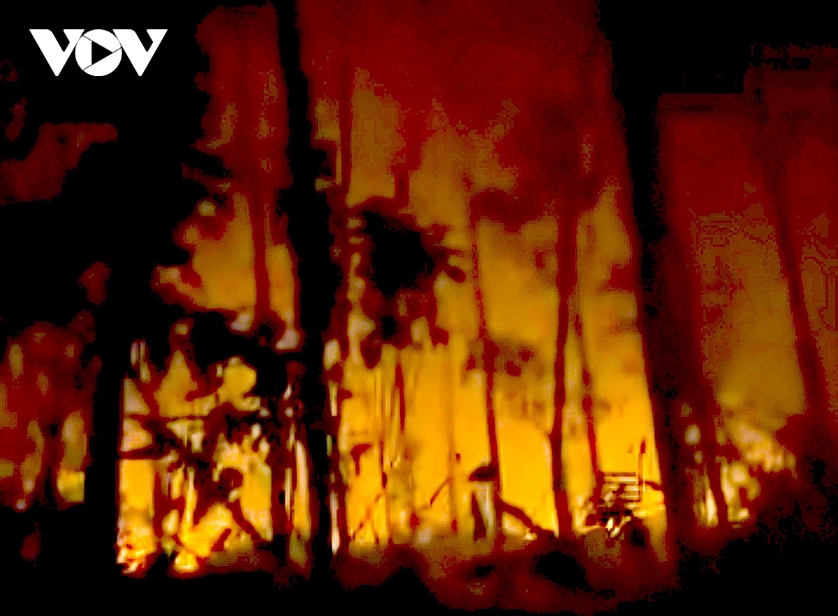 hang tram nguoi chua chay rung trong dem o nghe an hinh anh 1