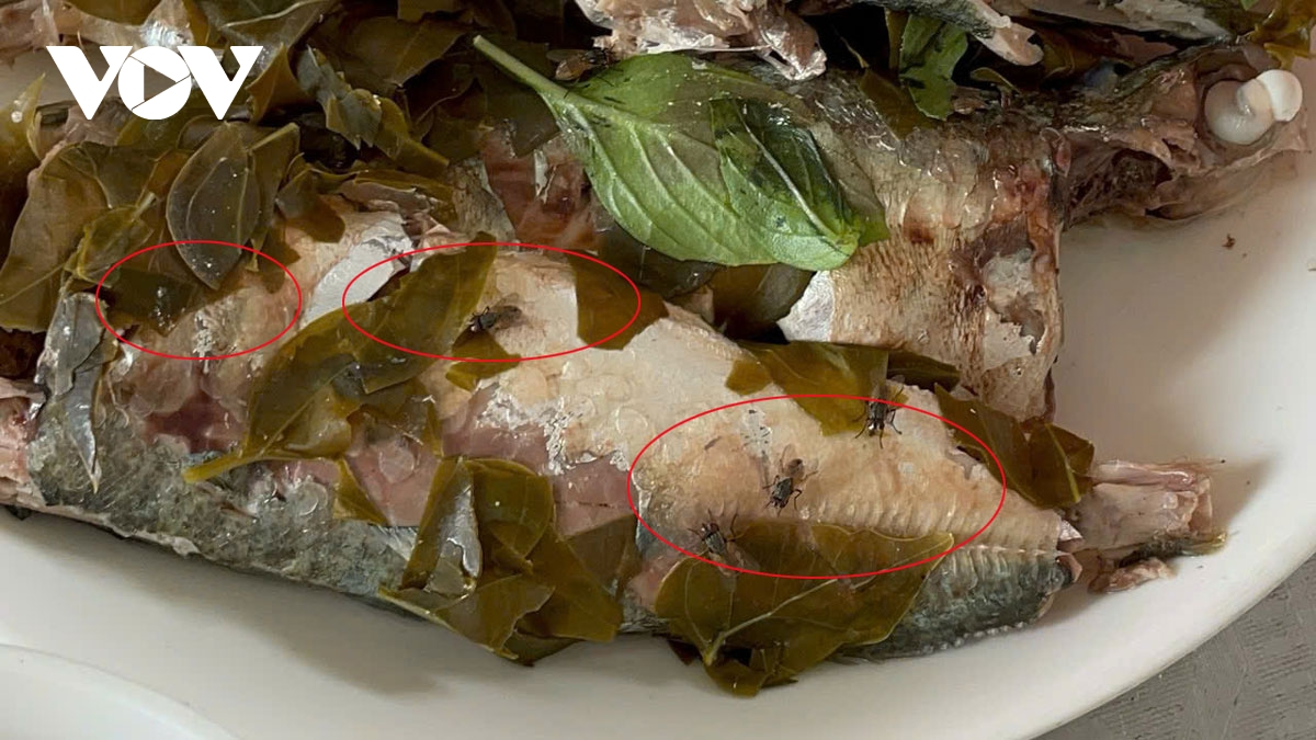 phuong binh duong, tp.hcm tim giai phap khac phuc o nhiem tai bai tap ket rac hinh anh 3