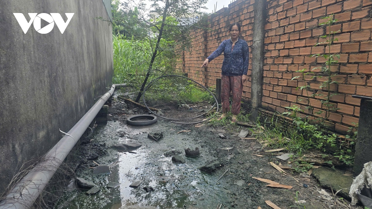 phuong binh duong, tp.hcm tim giai phap khac phuc o nhiem tai bai tap ket rac hinh anh 2