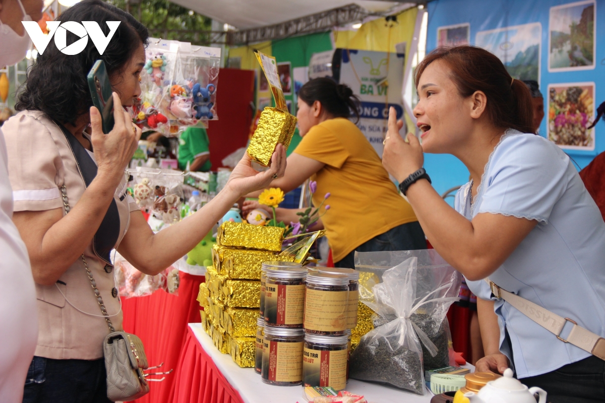 tap nap du khach trai nghiem sac mau du lich Dat to nam 2026 hinh anh 10
