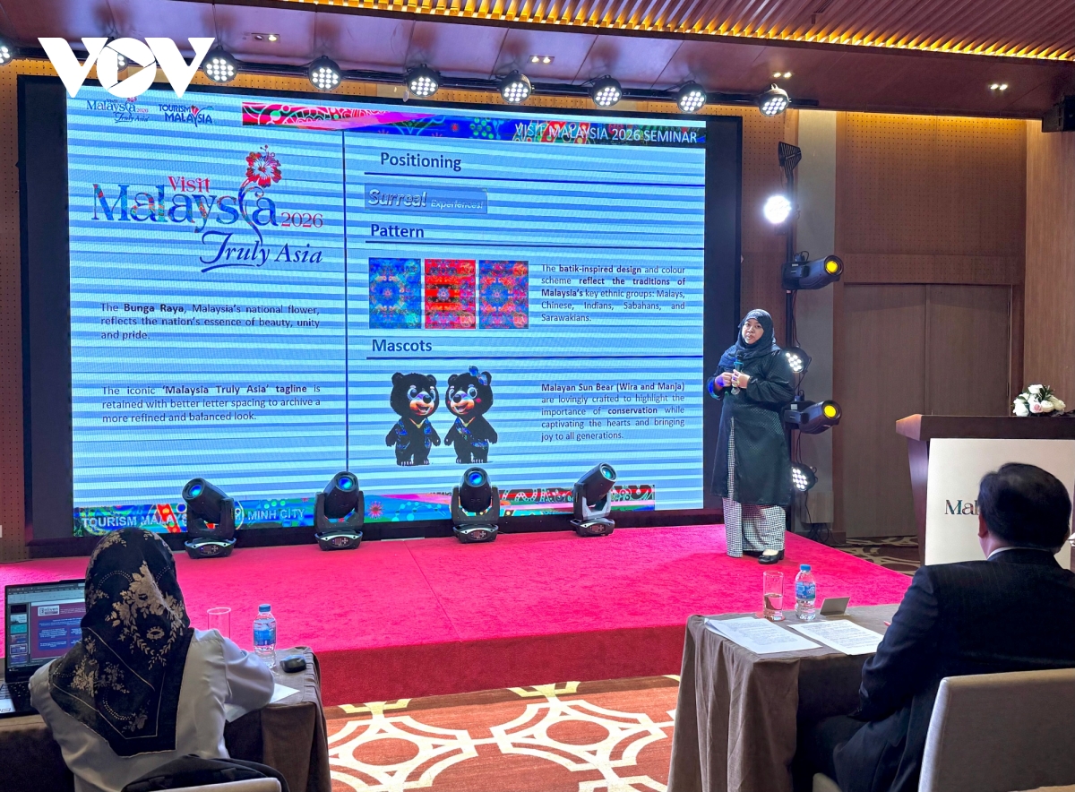 thuc day tang truong du lich giua malaysia va viet nam hinh anh 1