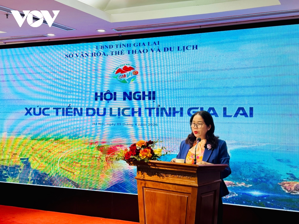 du lich gia lai khai thac khong gian dai ngan - cao nguyen - duyen hai hinh anh 2