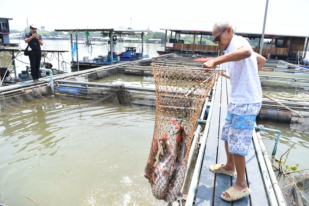  mach ngam van hoa viet tai kanchanaburi, thai lan hinh anh 2