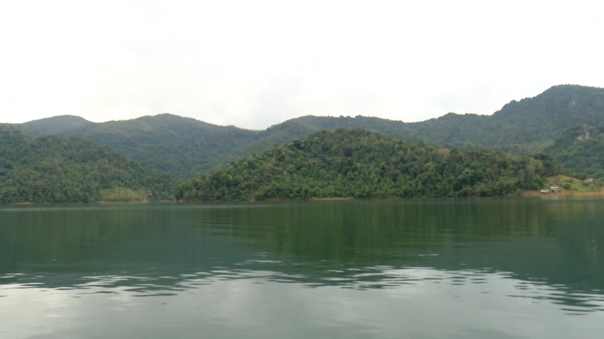  canh lua giu rung mua hanh kho hinh anh 1