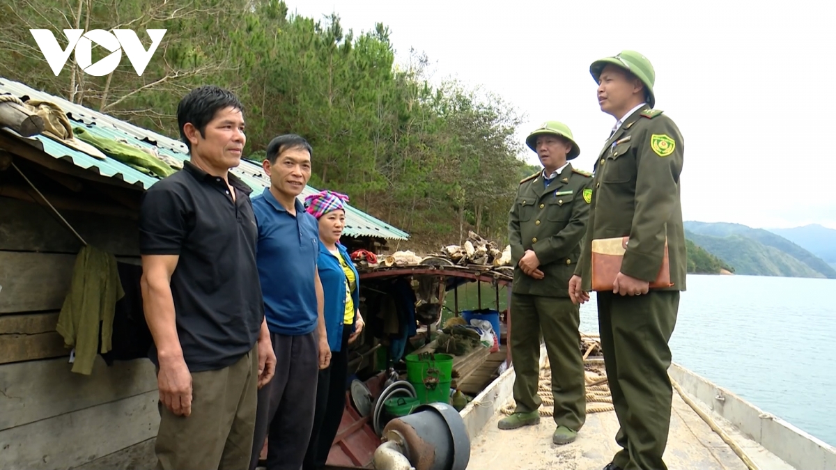  canh lua giu rung mua hanh kho hinh anh 2